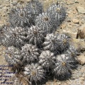 P1018071