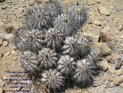 P1018071