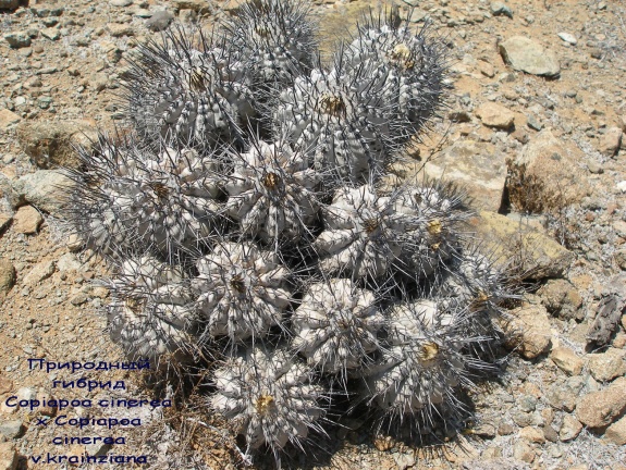 P1018071