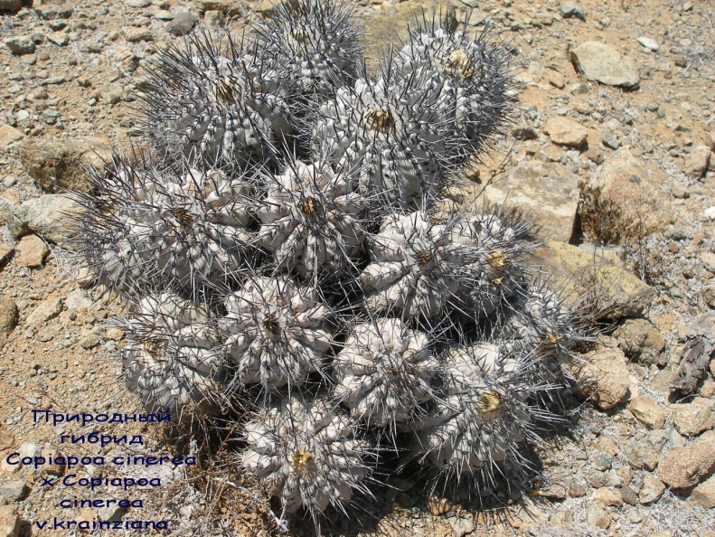 P1018071