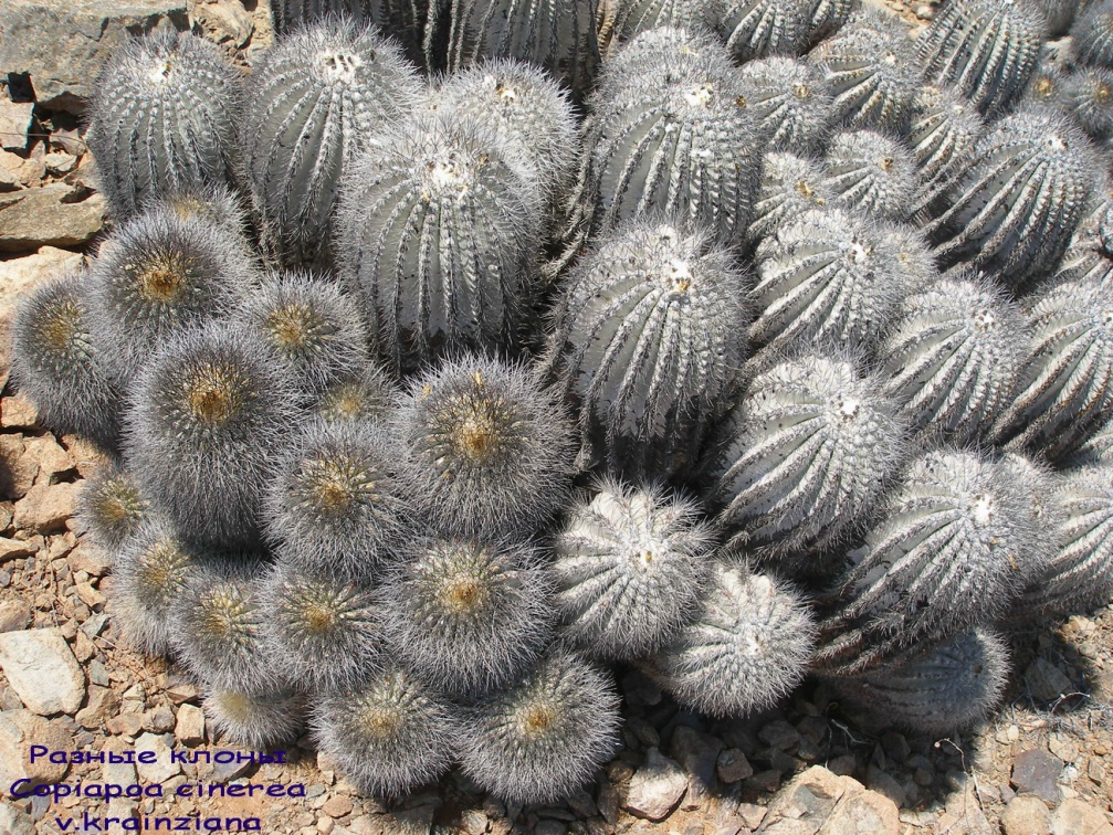 P1018072