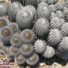 P1018072