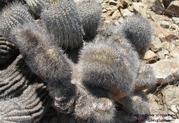 P1018075