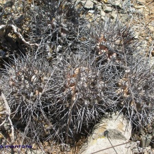 P1018083