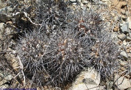 P1018083