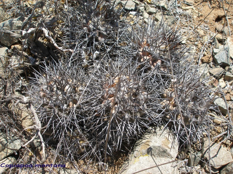 P1018083