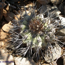 P1018084