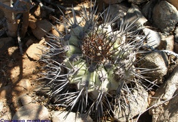 P1018084