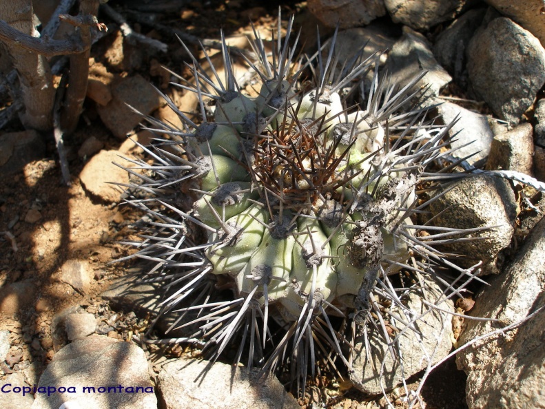 P1018084