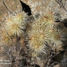 P1018094