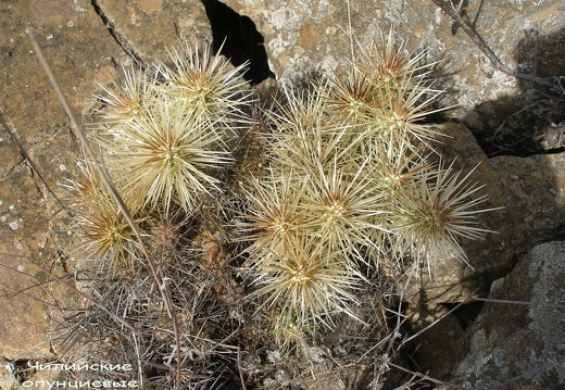 P1018094