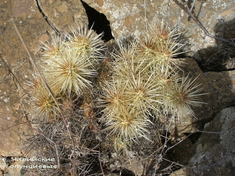 P1018094