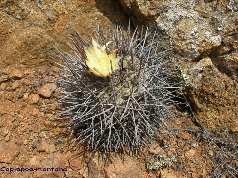 P1018097