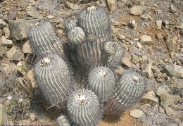 P1018107
