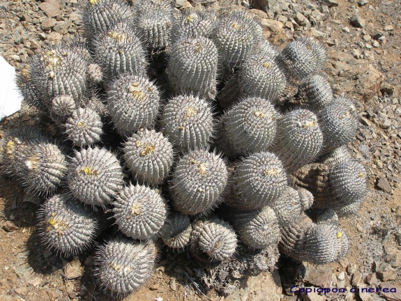 P1018112