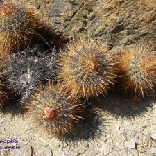 P1018119