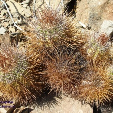 P1018121