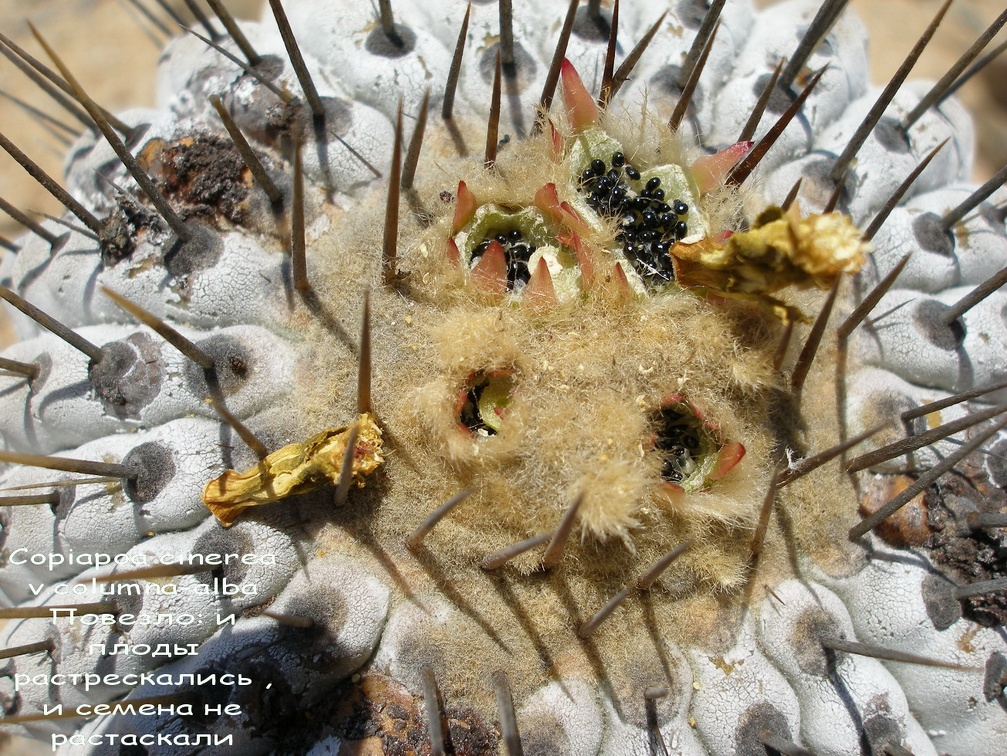 P1018132