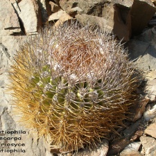 P1018140