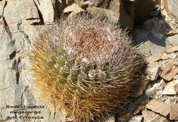 P1018140