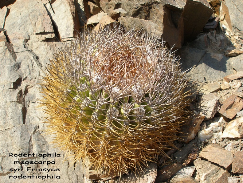 P1018140
