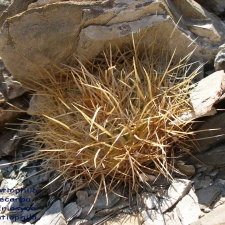 P1018142