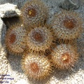 P1018143
