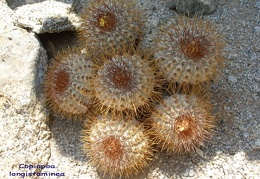P1018143