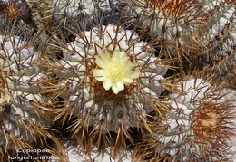 P1018144
