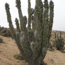 P1018149
