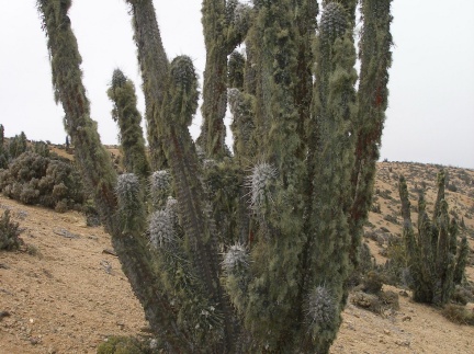 P1018149