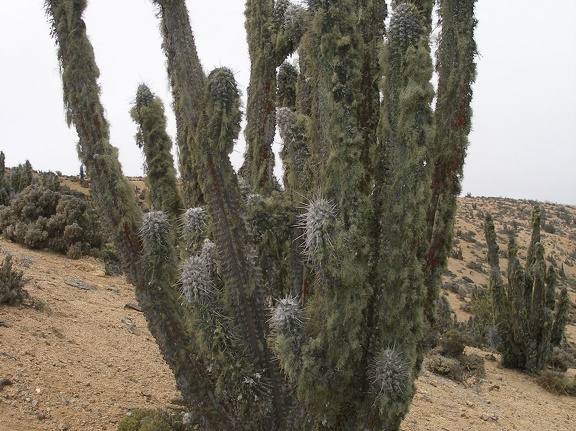 P1018149