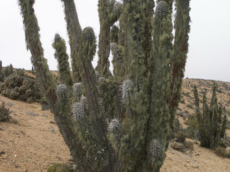 P1018149