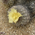 P1018157