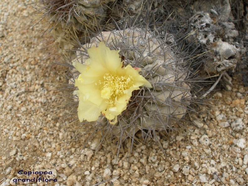 P1018157
