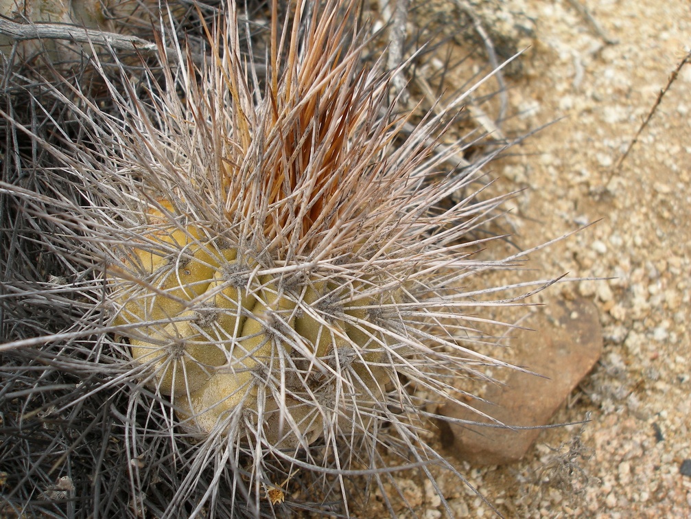 P1018158