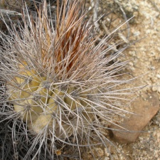 P1018158