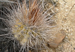 P1018158