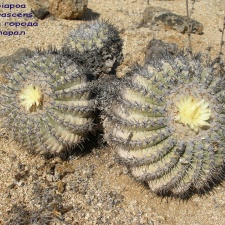 P1018165
