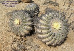 P1018165