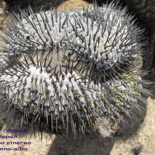 P1018167
