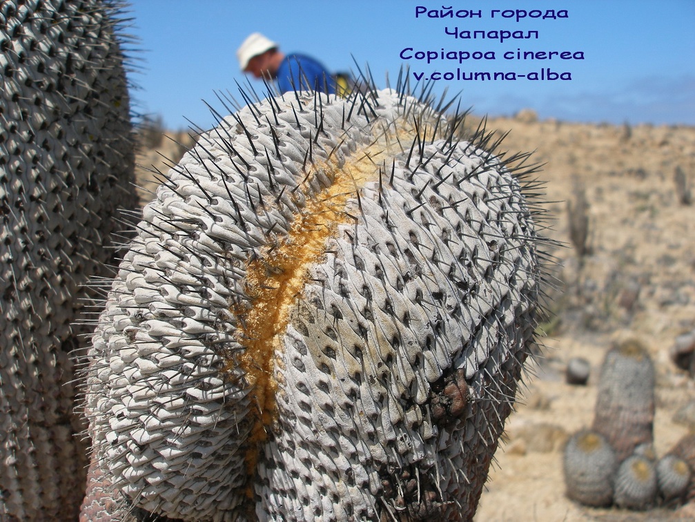 P1018168