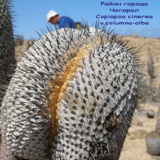 P1018168