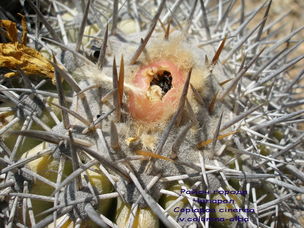 P1018170