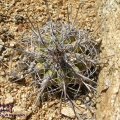 P1018173