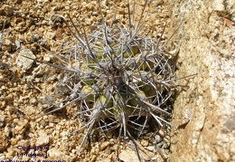 P1018173