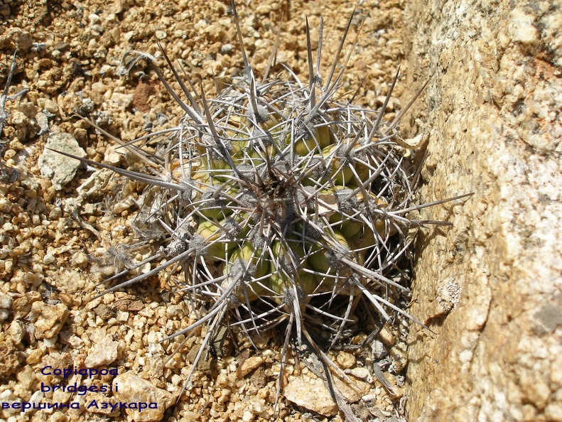 P1018173