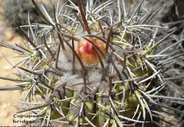 P1018178