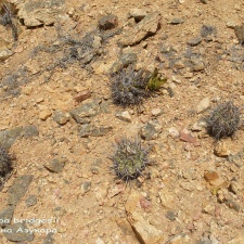 P1018182