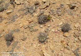 P1018182